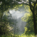 Smoke on Hampstead Heath