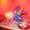 A Balloon Dog DJ Djing