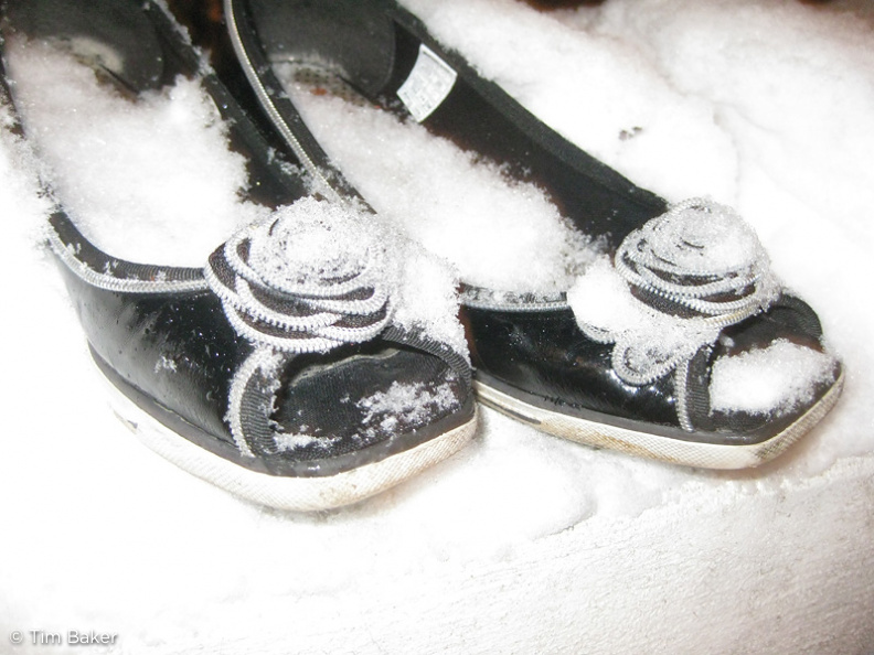 Snow shoes
