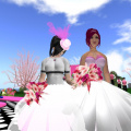 amanda-wedding_013