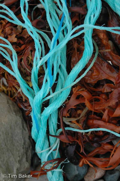 Rope, Rock and Seaweed, Ullapool