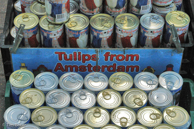 Tulips IN A CAN!