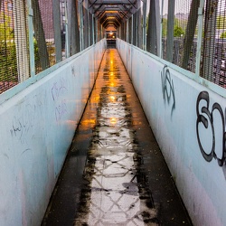 Rainy Bridge