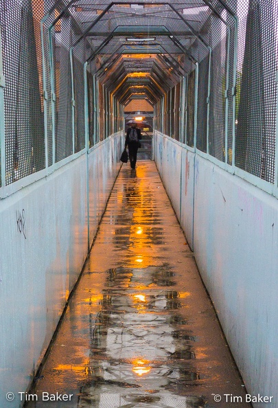Rainy Bridge 2016 Mobile Photos-20160509_194454_CF