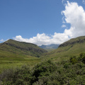 South Africa 2011
