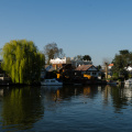Riverwalk Hampton Court to Walton Bridge