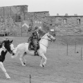Tynemouth Priory, Jousting July 2004