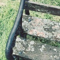 Lindisfarne colour shots