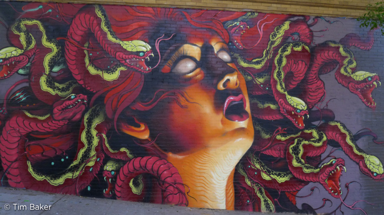 P1030655 Medusa street art, Haight Ashbury