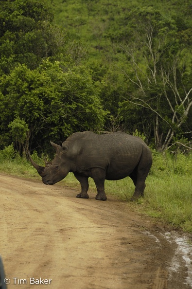 Hluhluwe Umfolozi Game Reserve, South Africa