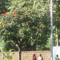 Bahir Dar, Ethiopia