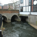 Kingston to Hampton Court river walk 3