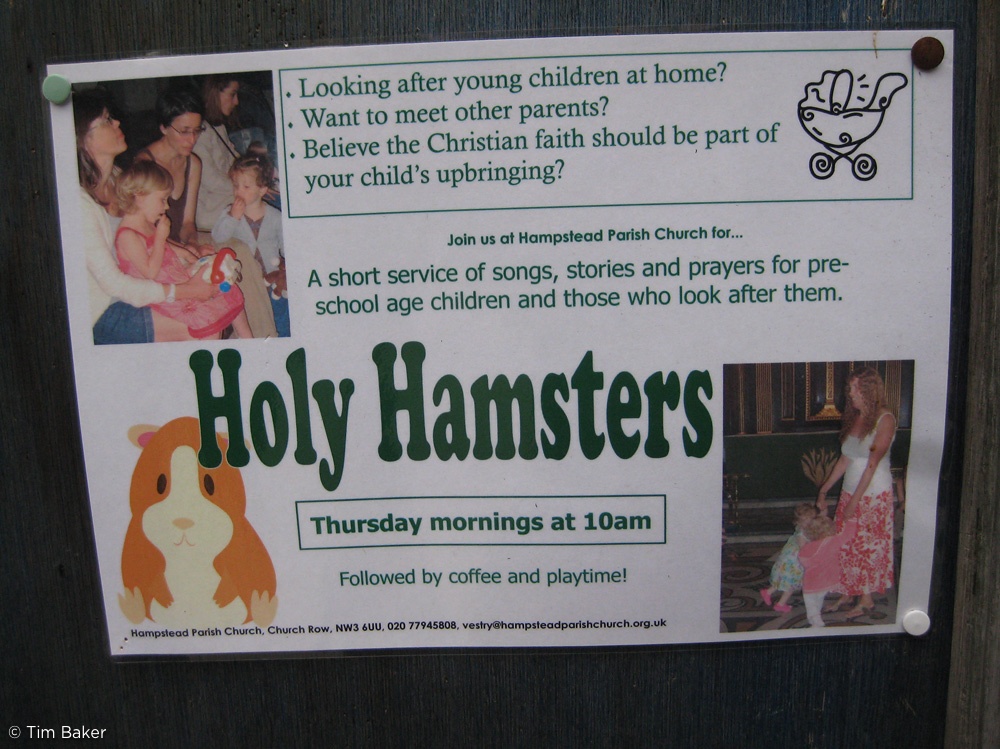 Holy Hamsters!