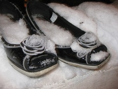 Snow shoes