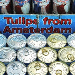 Closeup of the WORLD AMAZING TULIPS IN A CAN