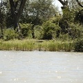 Start of the Blue Nile, Ethiopia